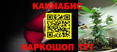 сатива Ирбит