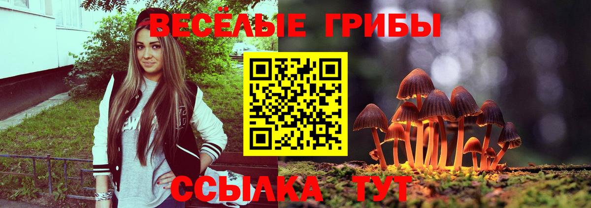 Псилоцибиновые грибы Psilocybe Дюртюли